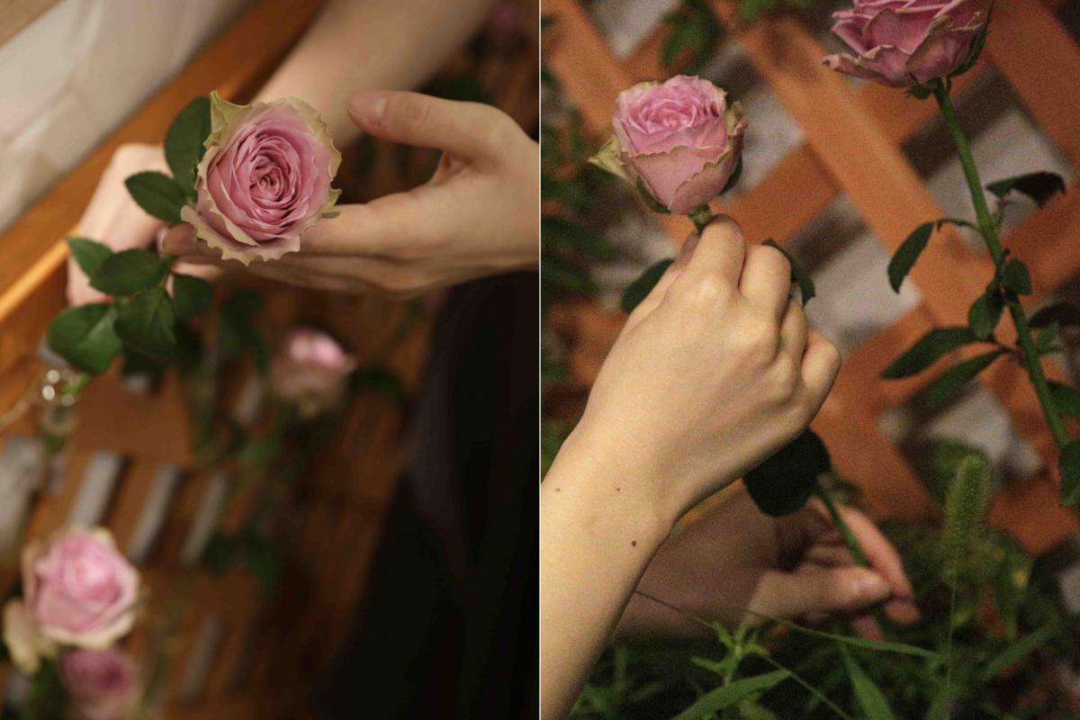 薄桃色の薔薇の花